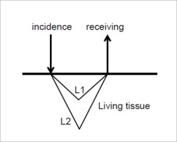 Fig5.