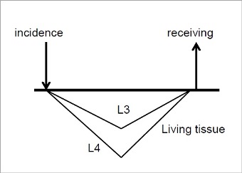 Fig6.