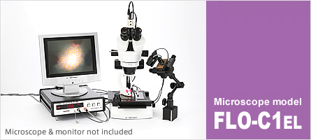 Microscope model(FLO-C1 EL) : 