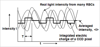 Fig.7. .Intensity of a pixel when RBC number density is high.